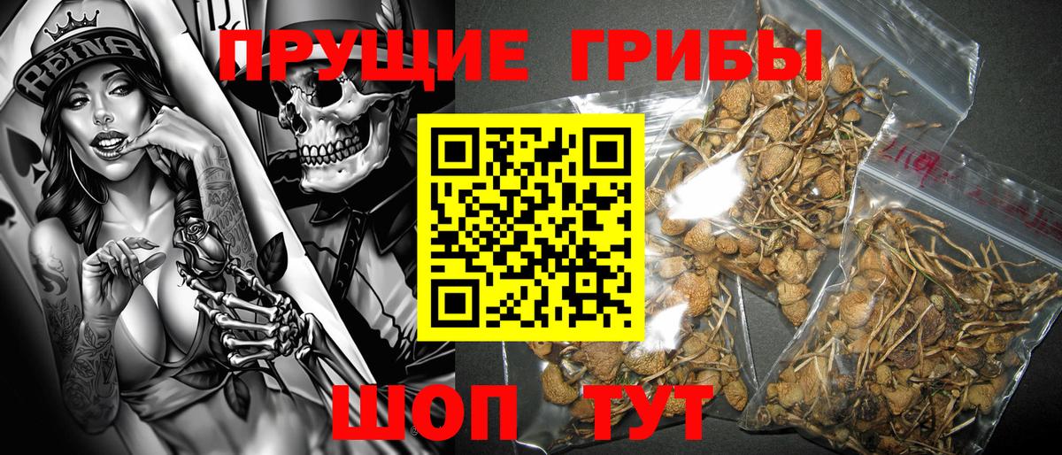 Галлюциногенные грибы ЛСД  Вход с VPN  Гусев 