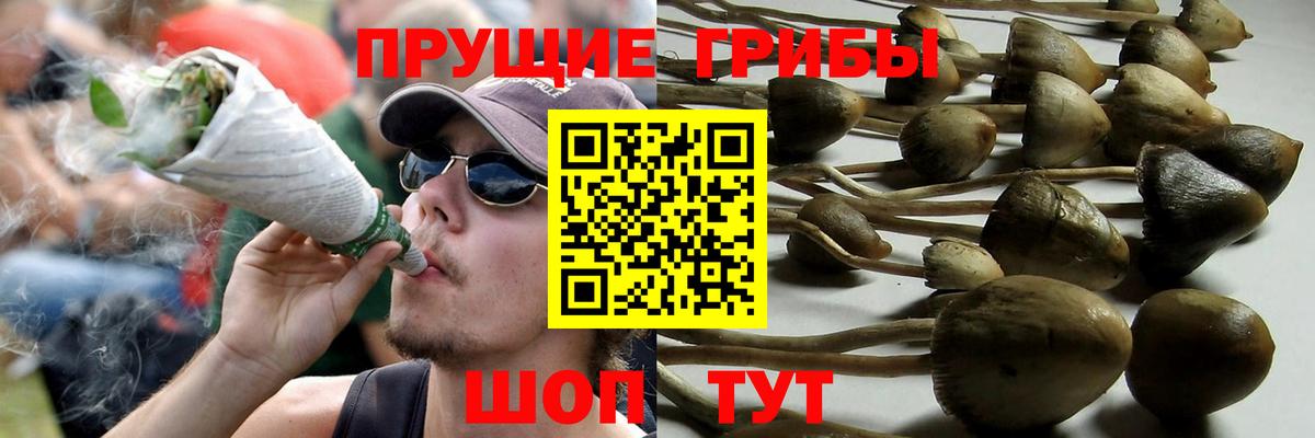 Галлюциногенные грибы GOLDEN TEACHER Гусев